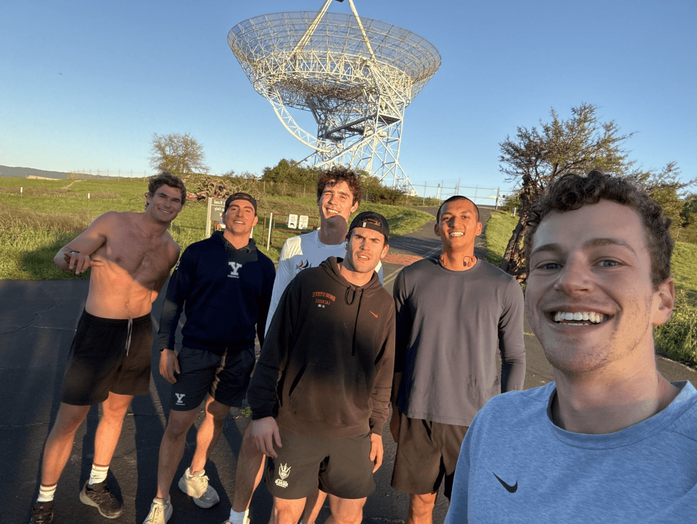Dish!