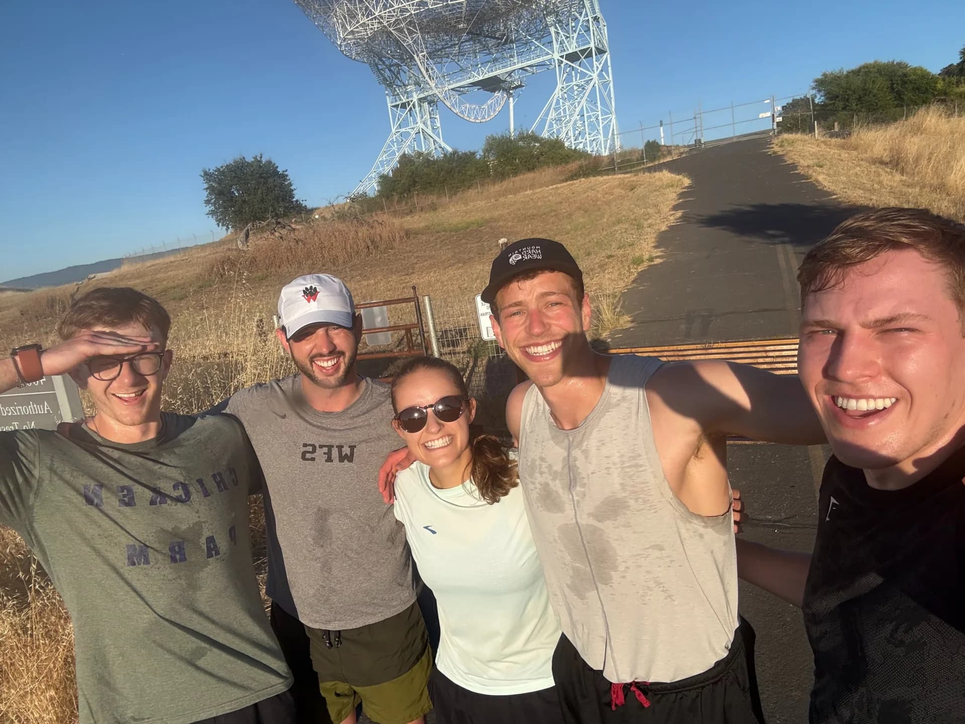 Sunny Dish Daysss